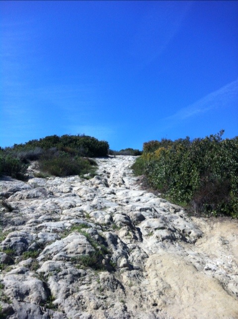 20120320-134400.jpg